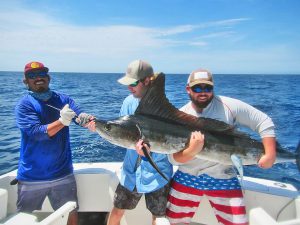 Striped Marlin fished in Cabo San Lucas on 8/10/18