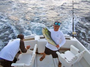 Dorado fished in Cabo San Lucas on 9/02/18