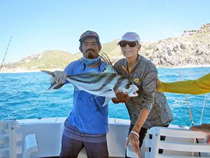 Roosterfish fished in Cabo San Lucas on 09/03/18
