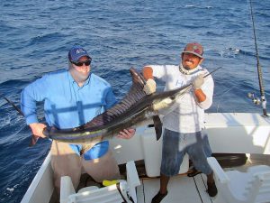 Striped Marlin fished in Cabo San Lucas on 8/25/18