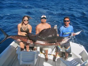 Sailfish fished in Cabo San Lucas on 10/13/18