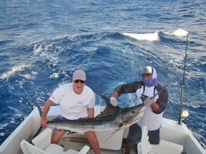Striped Marlin fished in Cabo San Lucas on 10/11/18