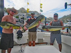 Dorado fished in Cabo San Lucas on 10/22/18