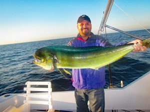 Dorado fished in Cabo San Lucas on 10/27/18