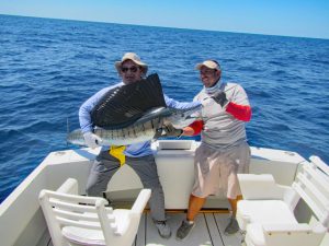 Sailfish fished in Cabo San Lucas on 10/17/18