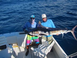 Striped Marlin fished in Cabo San Lucas on 11/01/18