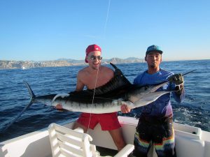 Striped Marlin fished in Cabo San Lucas on 11/06/18