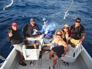 Striped Marlin fished in Cabo San Lucas on 11/11/18