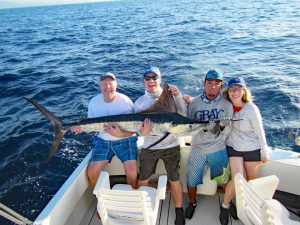Striped Marlin fished in Cabo San Lucas on 11/12/18