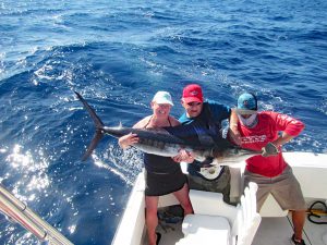 Striped Marlin fished in Cabo San Lucas on 11/13/18