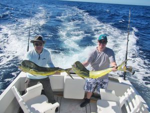 Dorado fished in Cabo San Lucas on 11/28/18