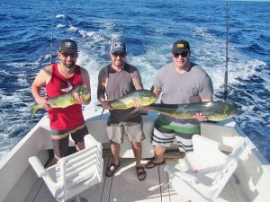 Dorado fished in Cabo San Lucas on 12/03/18