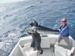 Striped Marlin fished in Cabo San Lucas on 12/01/18
