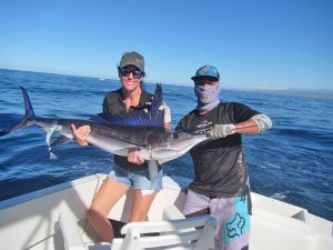 Striped Marlin fished in Cabo San Lucas on 12/07/18