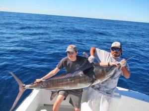 Striped Marlin fished in Cabo San Lucas on 12/08/18