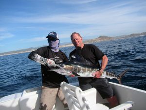 Striped Marlin fished in Cabo San Lucas on 1/03/19