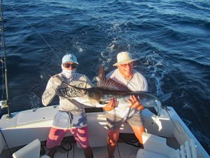 Striped Marlin fished in Cabo San Lucas on 1/12/19