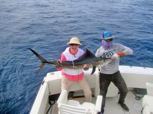 Striped Marlin fished in Cabo San Lucas on 1/25/19