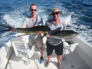 Yellowfin Tuna and Dorado fished in Cabo San Lucas on 1/09/19