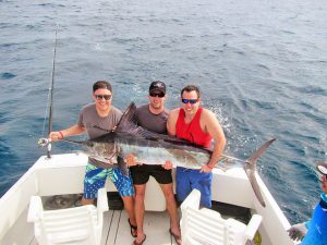 Striped Marlin fished in Cabo San Lucas on 2/03/19
