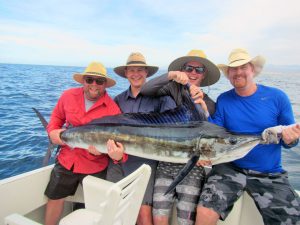 Striped Marlin fished in Cabo San Lucas on 2/09/19
