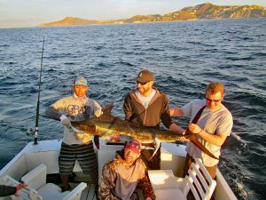 Striped Marlin fished in Cabo San Lucas on 2/12/19