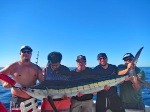 Striped Marlin fished in Cabo San Lucas on 2/14/19