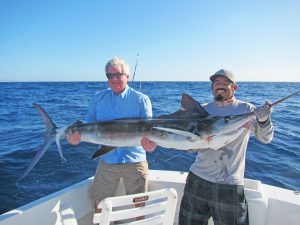 Striped Marlin fished in Cabo San Lucas on 2/17/19