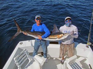 Striped Marlin fished in Cabo San Lucas on 2/22/19