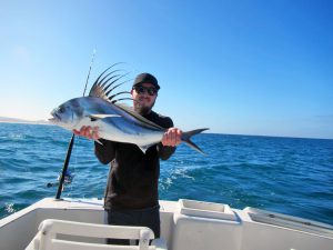 Roosterfish fished in Cabo San Lucas on 3/04/19