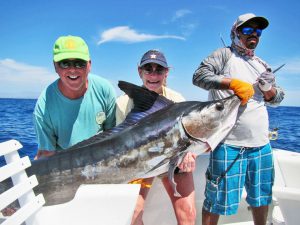 Striped Marlin fished in Cabo San Lucas on 3/09/19