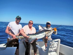 Striped Marlin fished in Cabo San Lucas on 3/22/19