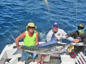 Striped Marlin fished in Cabo San Lucas on 4/04/19