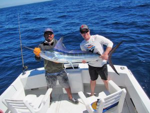 Striped Marlin fished in Cabo San Lucas on 4/30/19