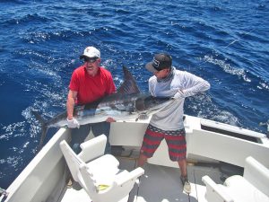 Striped Marlin fished in Cabo San Lucas on 5/01/19