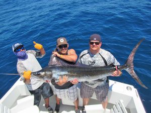 Striped Marlin fished in Cabo San Lucas on 5/06/19