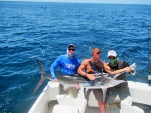 Striped Marlin fished in Cabo San Lucas on 5/07/19