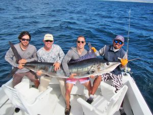 Striped Marlin fished in Cabo San Lucas on 5/13/19