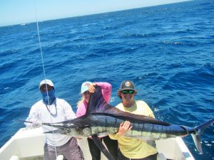 Striped Marlin fished in Cabo San Lucas on 5/22/19