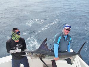 Striped Marlin fished in Cabo San Lucas on 6/11/19