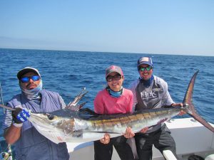 Striped Marlin fished in Cabo San Lucas on 6/18/19