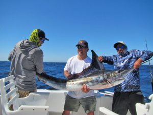 Striped Marlin fished in Cabo San Lucas on 6/21/19