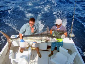 Blue Marlin fished in Cabo San Lucas on 7/28/19