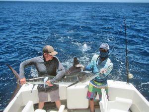 Striped Marlin fished in Cabo San Lucas on 7/24/19