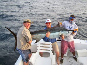 Blue Marlin fished in Cabo San Lucas on 8/16/19