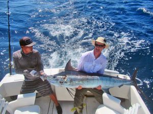 Blue Marlin fished in Cabo San Lucas on 8/17/19