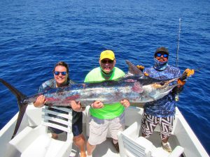 Blue Marlin fished in Cabo San Lucas on 8/21/19
