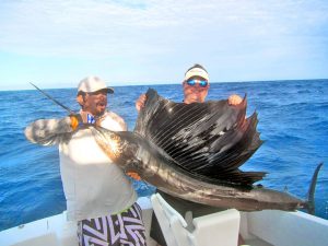 Pacific Sailfish fished in Cabo San Lucas on 8/13/19