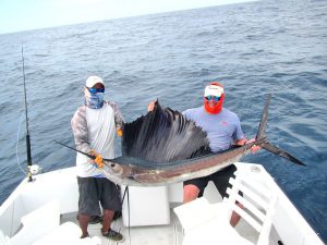 Pacific Sailfish fished in Cabo San Lucas on 8/15/19