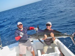 Striped Marlin fished in Cabo San Lucas on 8/03/19